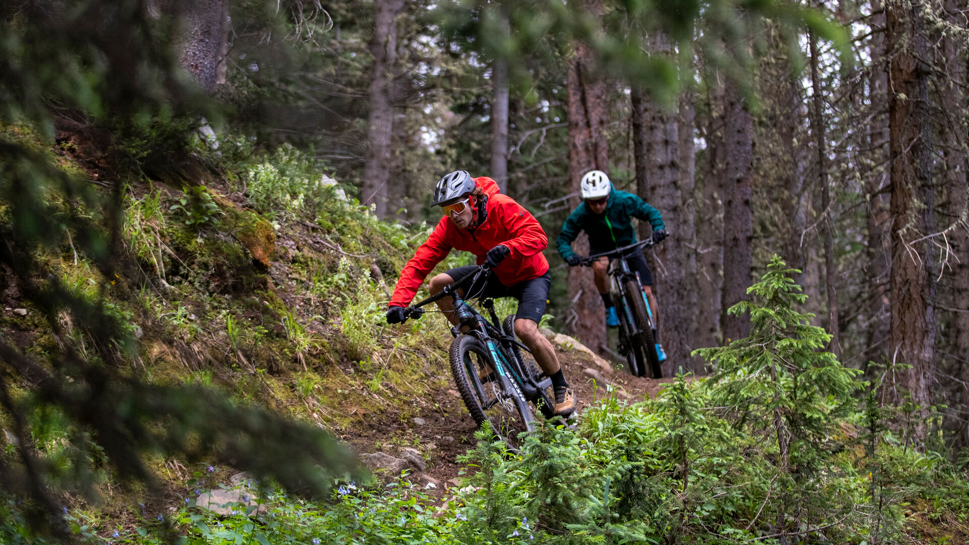 Canyon Downcountry Bikes Canyon Downcountry Bikes