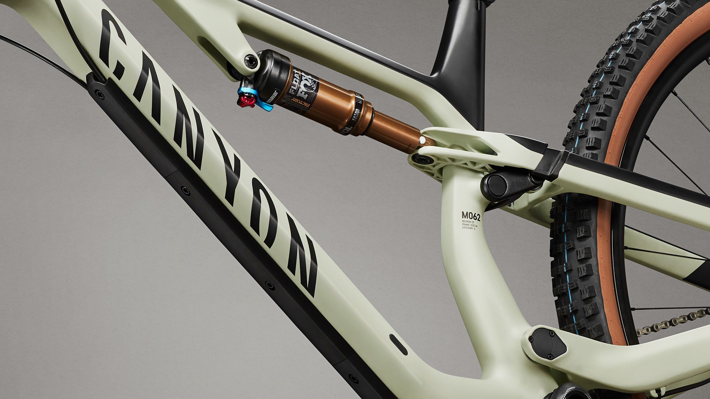 Canyon neuron clearance carbon