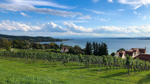 Die schönsten Rennradtouren am Bodensee 