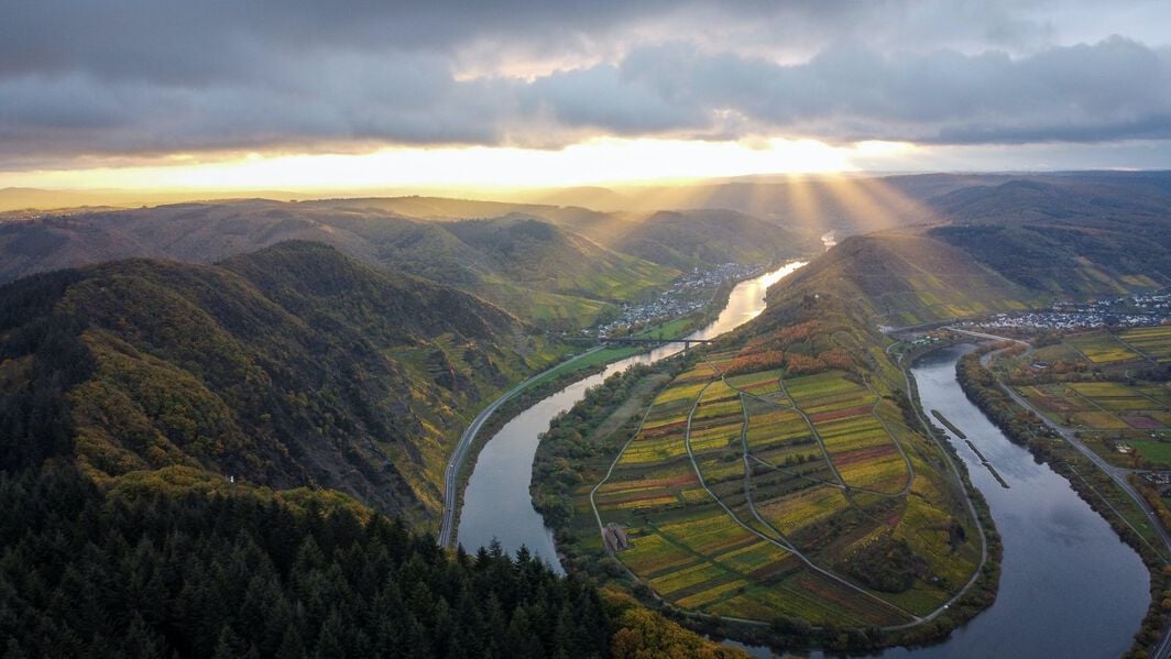 Riding the Moselle Cycle Path