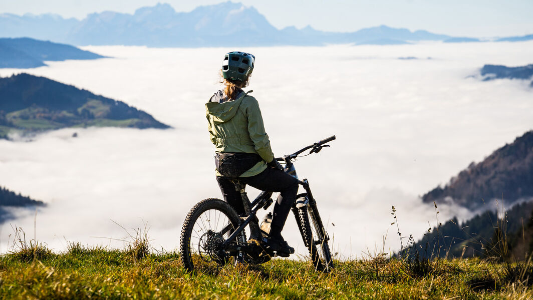Was hilft gegen Pollen in die Fahrradsaison 