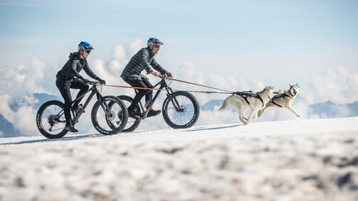 Dude, en husky och bergen