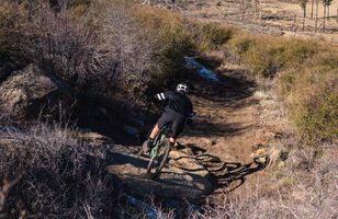 Canyon Neuron:ON AL