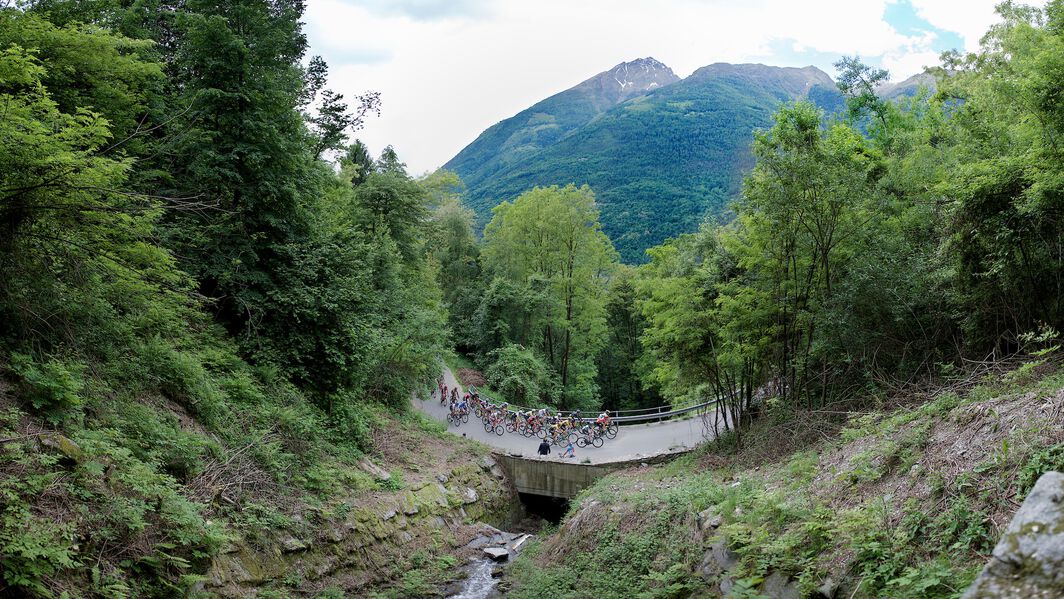 Up the Mortirolo Pass during the Giro d'Italia 2015