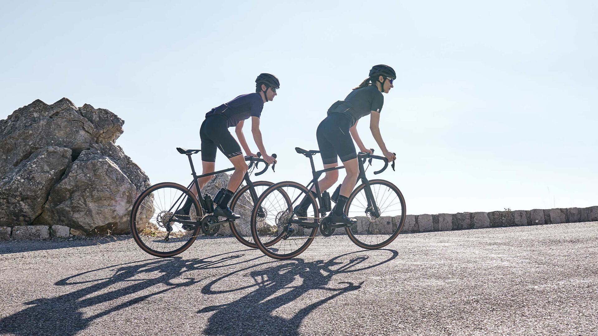 Canyon Endurace AL