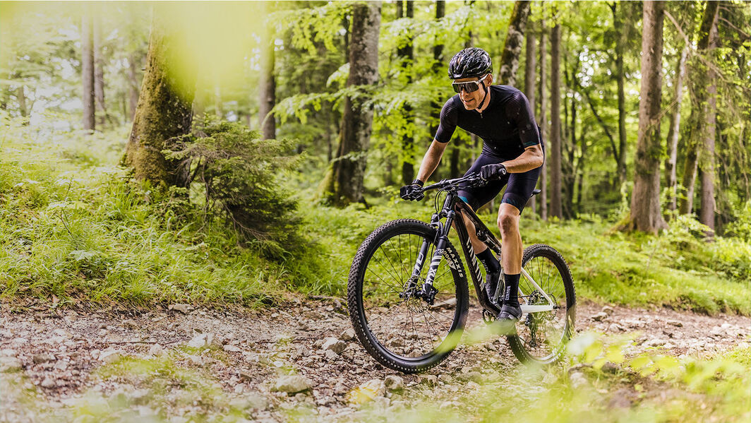 Die schönsten Mountainbike-Touren im Pfälzerwald 