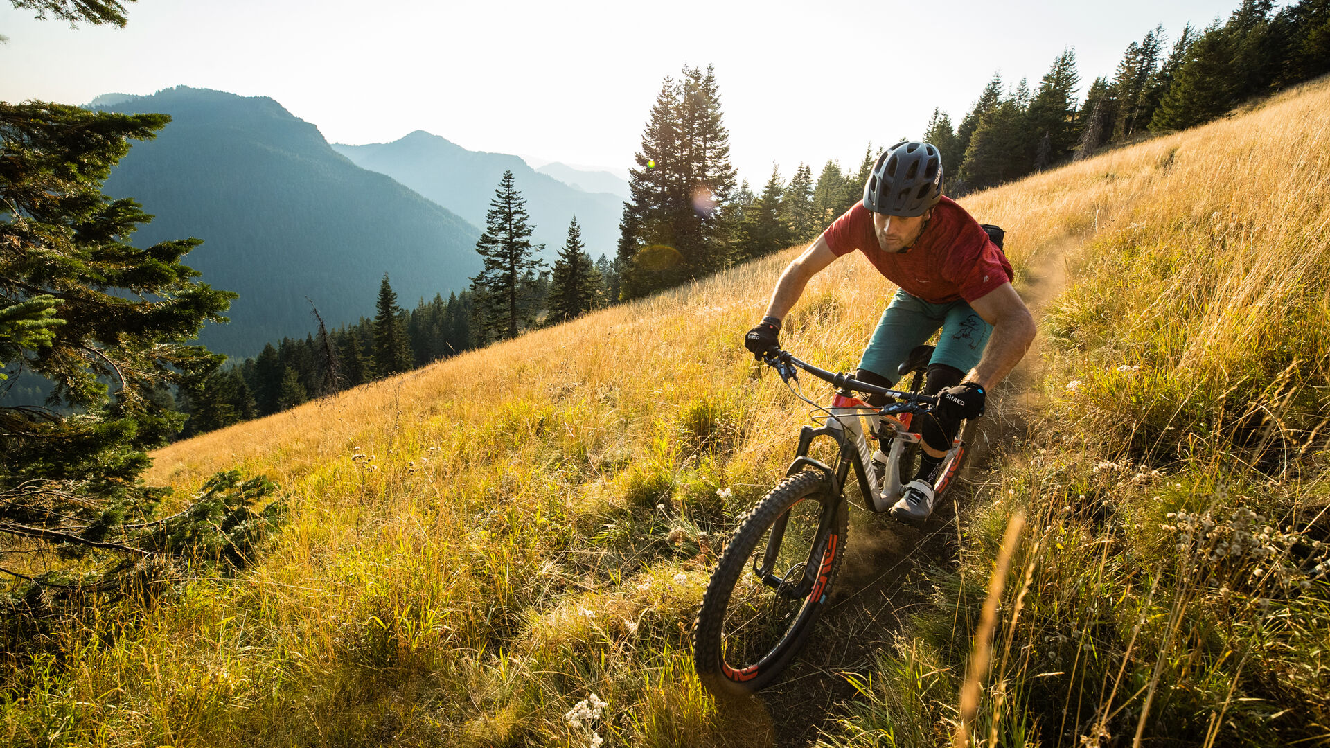 Canyon trail bike clearance