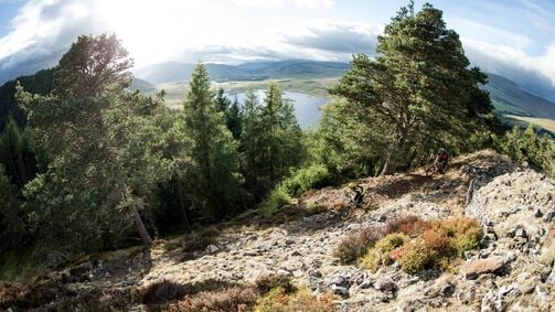 Guide to 7Stanes MTB Centres
