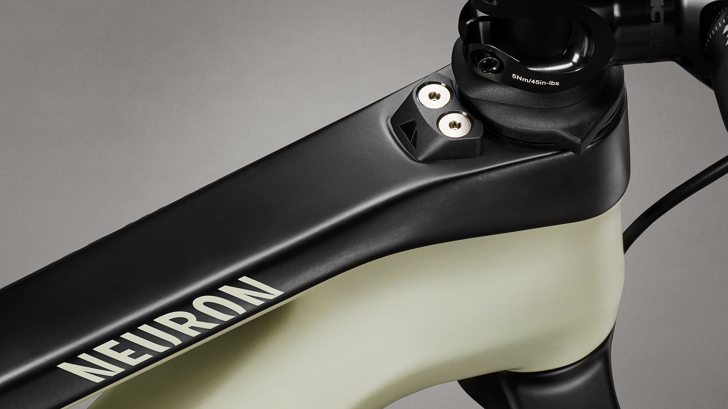 Canyon top neuron carbon
