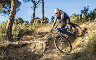 Trail Bikes