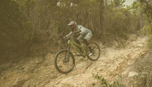 Canyon Torque 29"