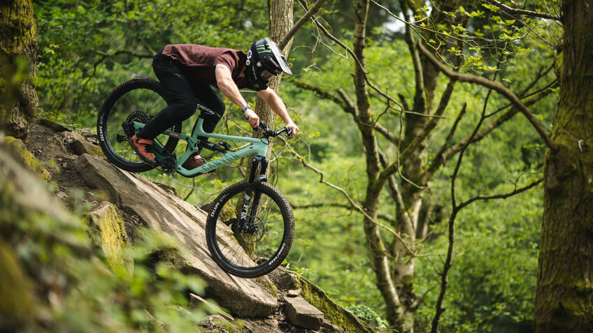 Canyon Torque 27.5