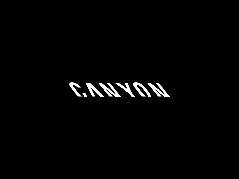Canyon Neuron:ONfly