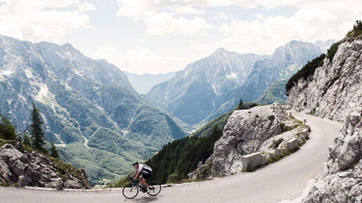 Thomson Bike Tours