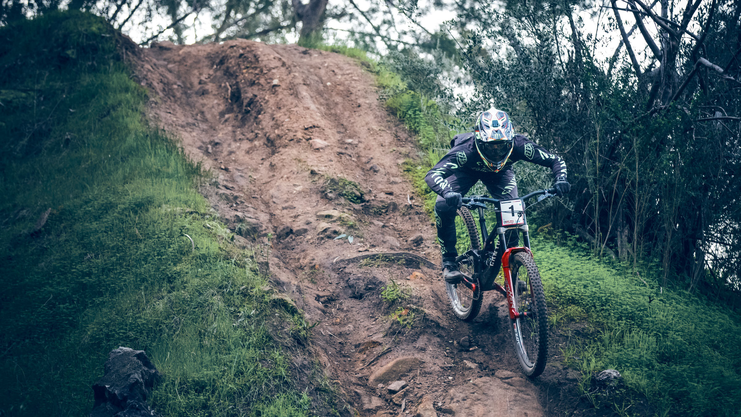 canyon sender cf 2018