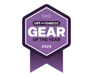 Mountain bike of the year