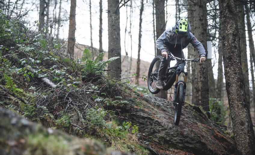 Canyon Torque:ON Canyon Torque:ON