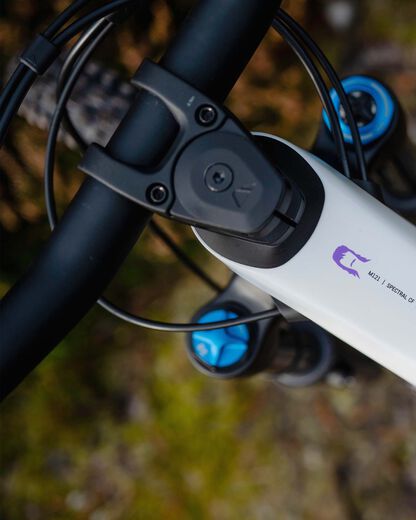 Canyon Spectral CF Mullet Canyon Spectral CF Mullet