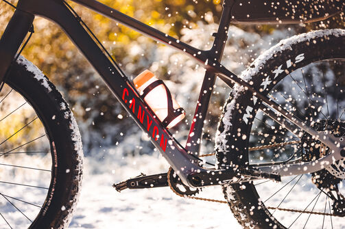 Fat bike vs mountain bike: Making the right choice