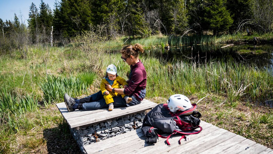 How to go bikepacking with a baby 