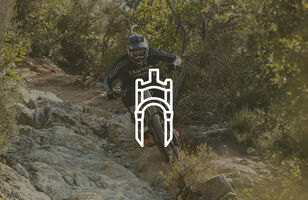 Canyon Strive CFR