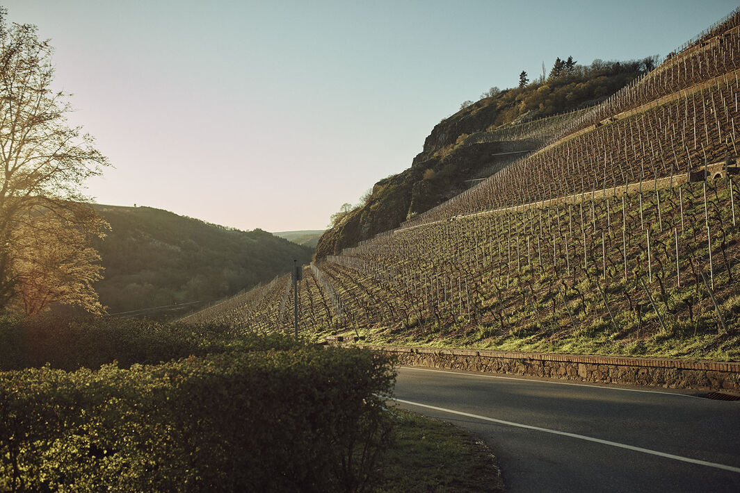 Riding the Moselle Cycle Path