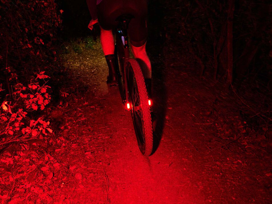 Canyon Grizl:ONfly
