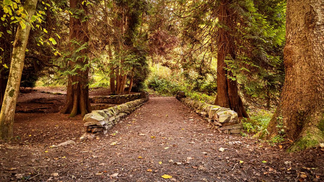 Guide to 7Stanes trail centres in Scotland Guide to 7Stanes trail centres in Scotland