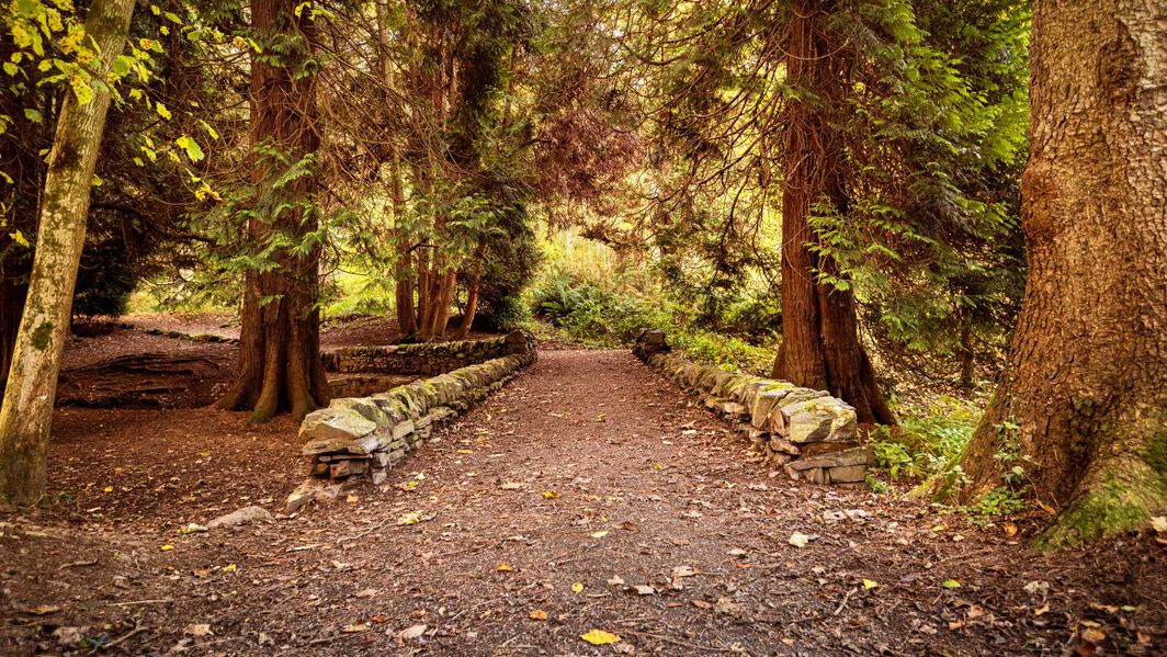 Guide to 7Stanes trail centres in Scotland