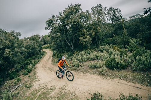 Die besten E-Bike Touren im Münsterland