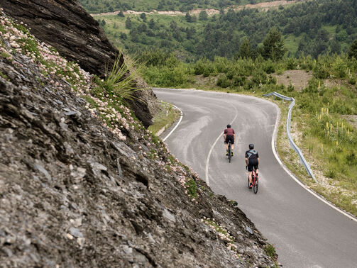 Endurance-Rennräder – Erste Wahl in Sachen Komfort und Performance