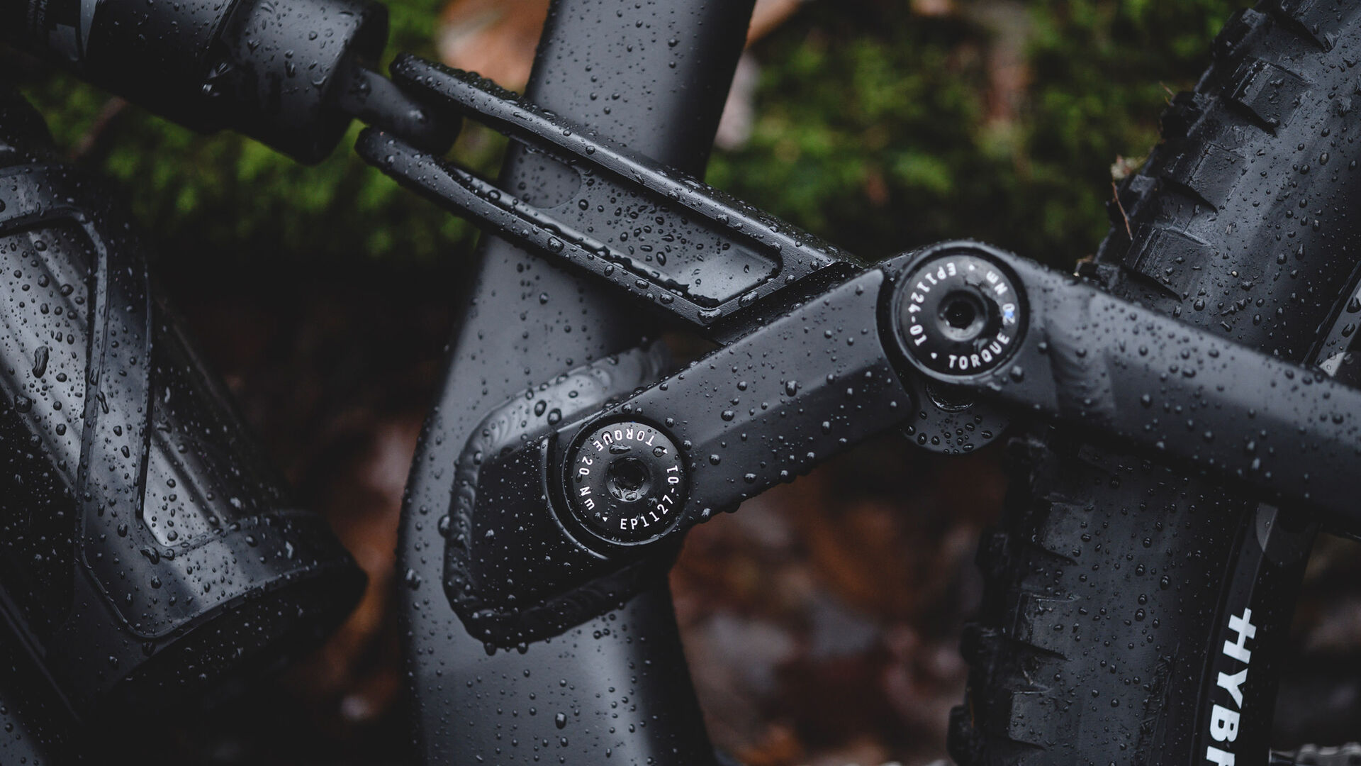 Canyon Torque:on