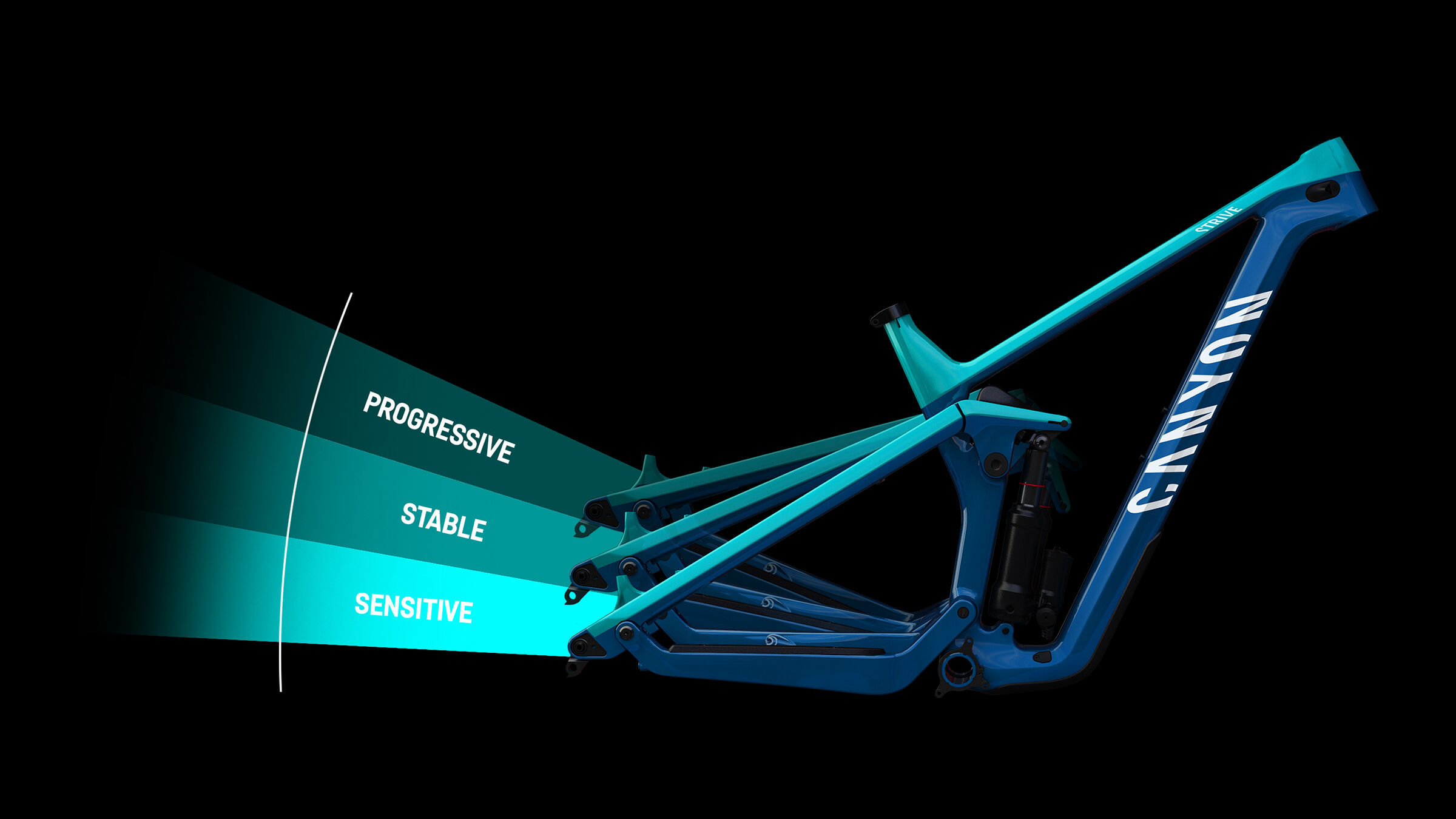 Canyon Strive Shapeshifter 2024 www.balewagon