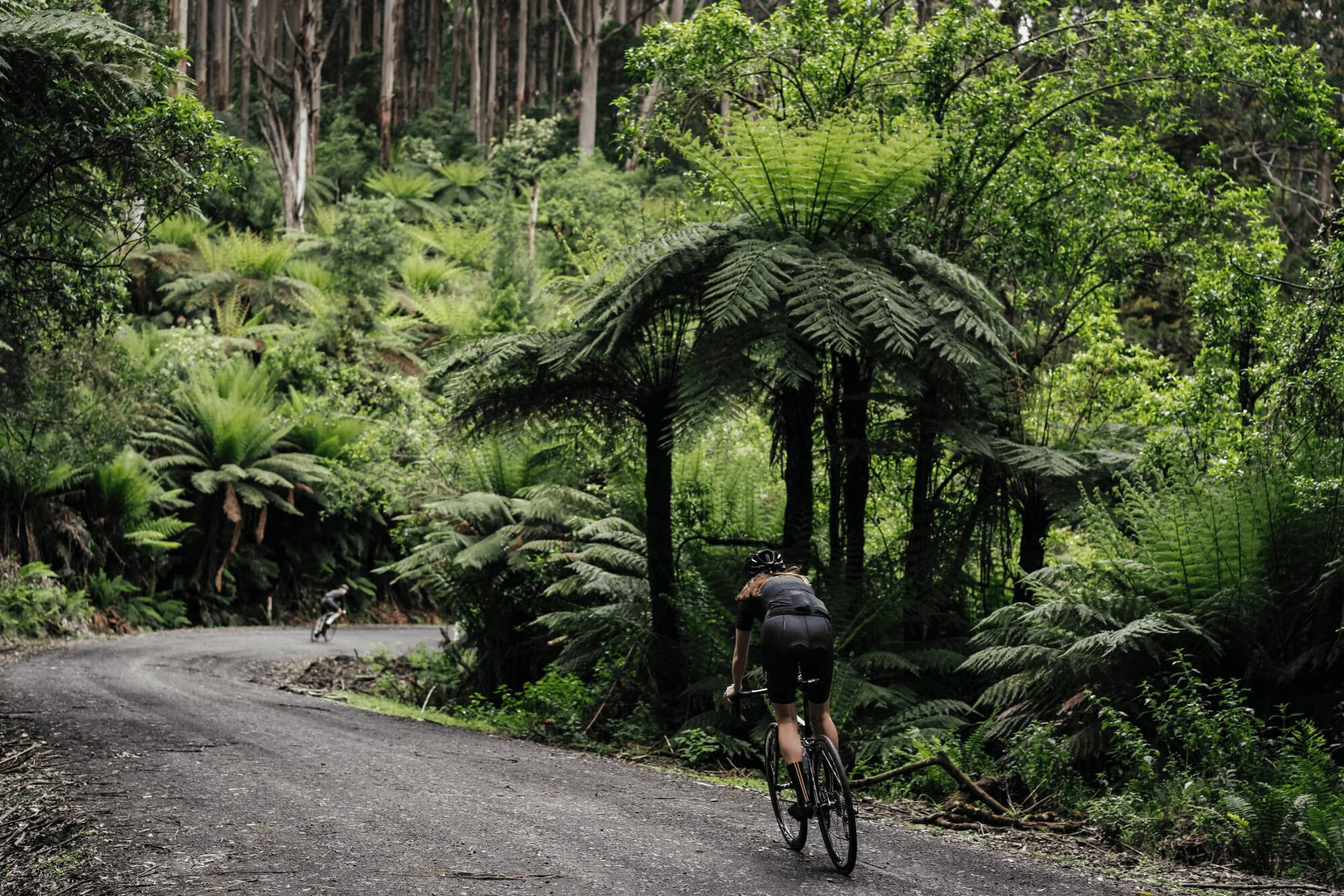Best gravel bike trails near 2025 me