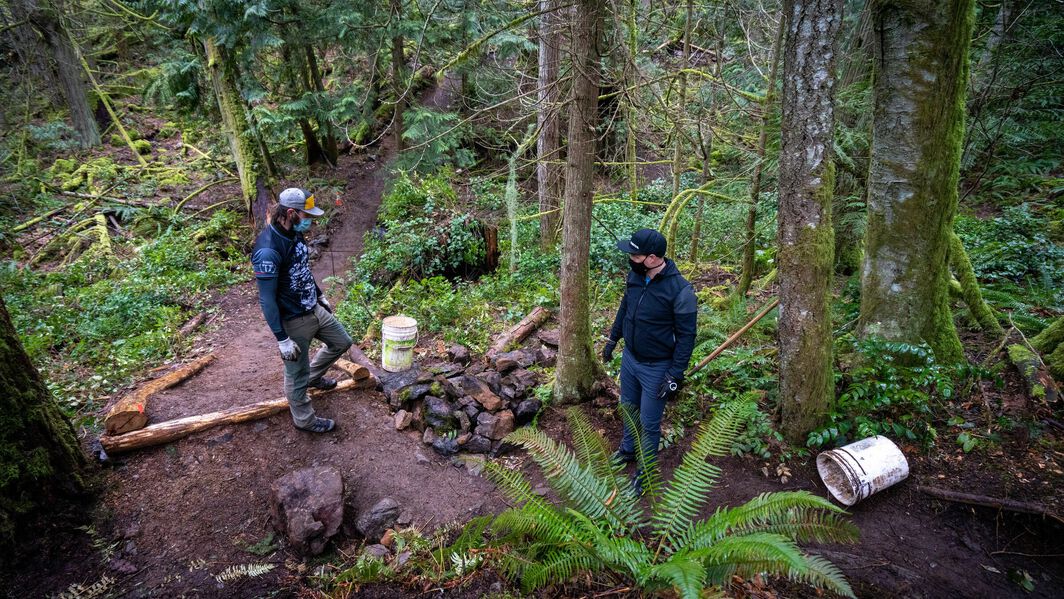 Conseils pour être plus respectueux de l'environnement