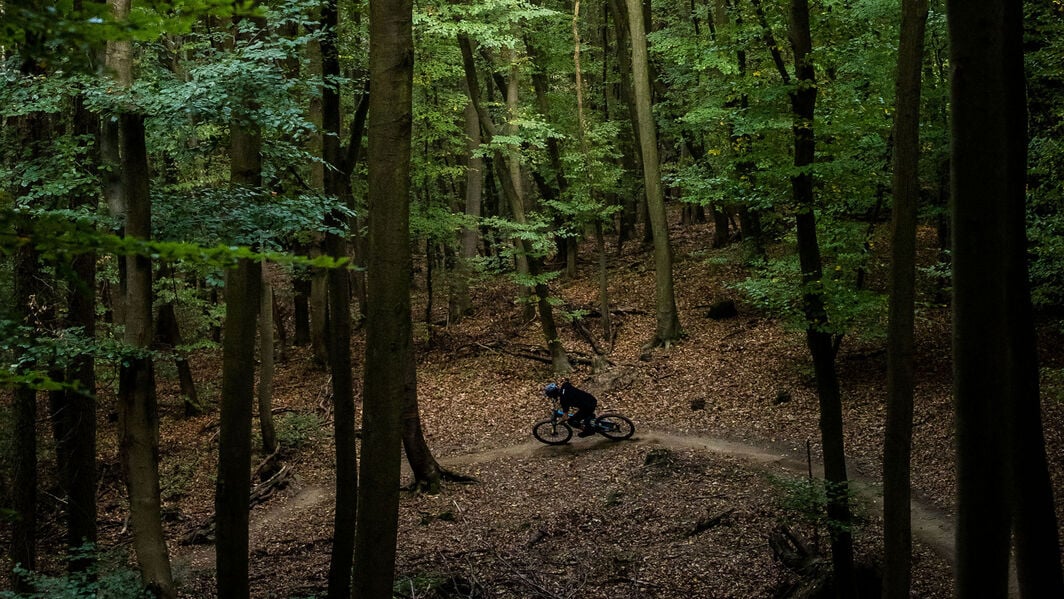 Spectral vs Strive vs Torque / Photo: Canyon.com Spectral vs Strive vs Torque / Photo: Canyon.com