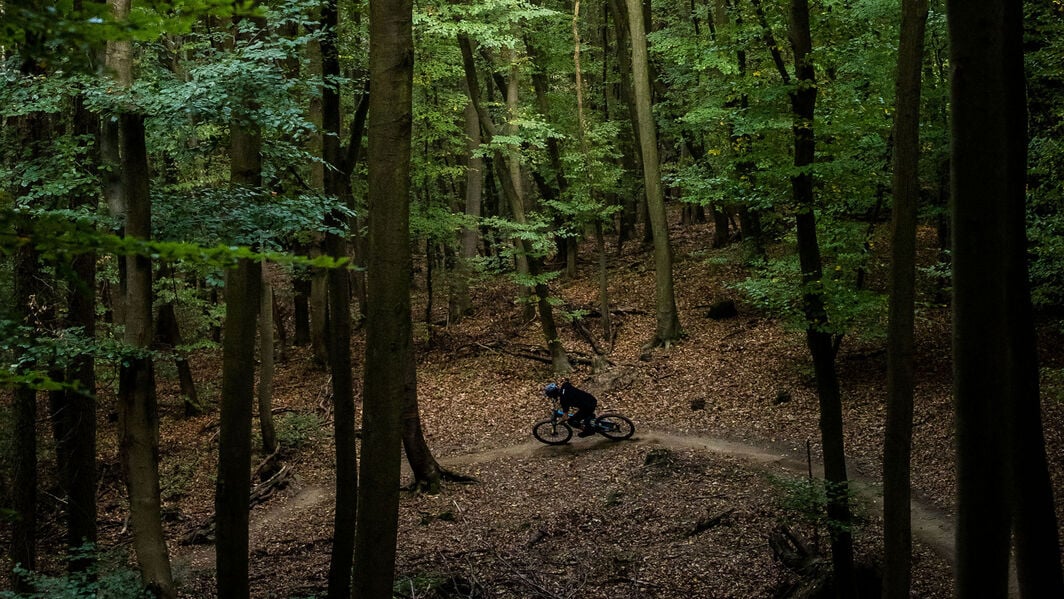 Spectral vs Strive vs Torque / Photo: Canyon.com