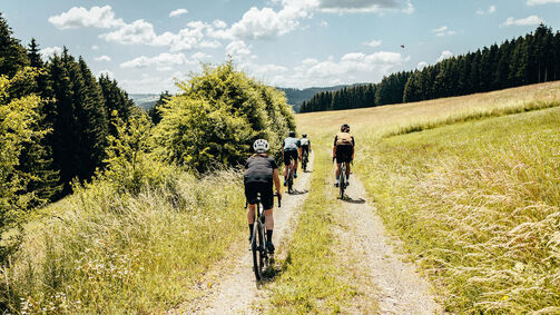 Which bike is right for me? A guide to bicycle types 