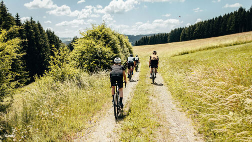 Gravel Bike Touren in der Eifel: Wildnis und Idylle direkt vor der Tür 