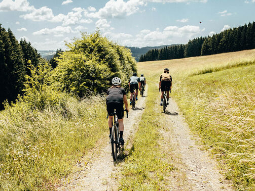 Gravel Bike Touren in der Eifel: Wildnis und Idylle direkt vor der Tür 