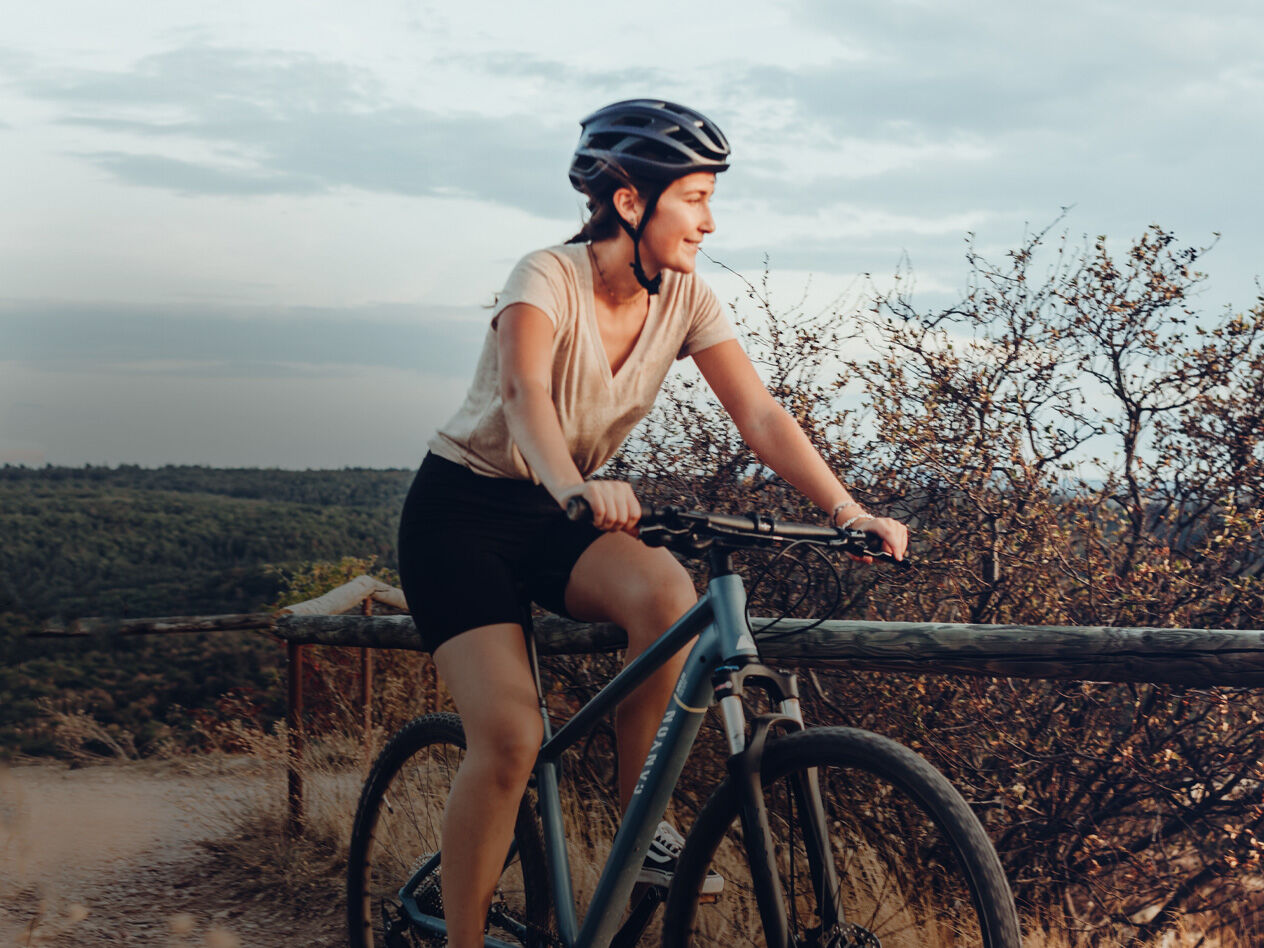 Canyon on sale touring bike