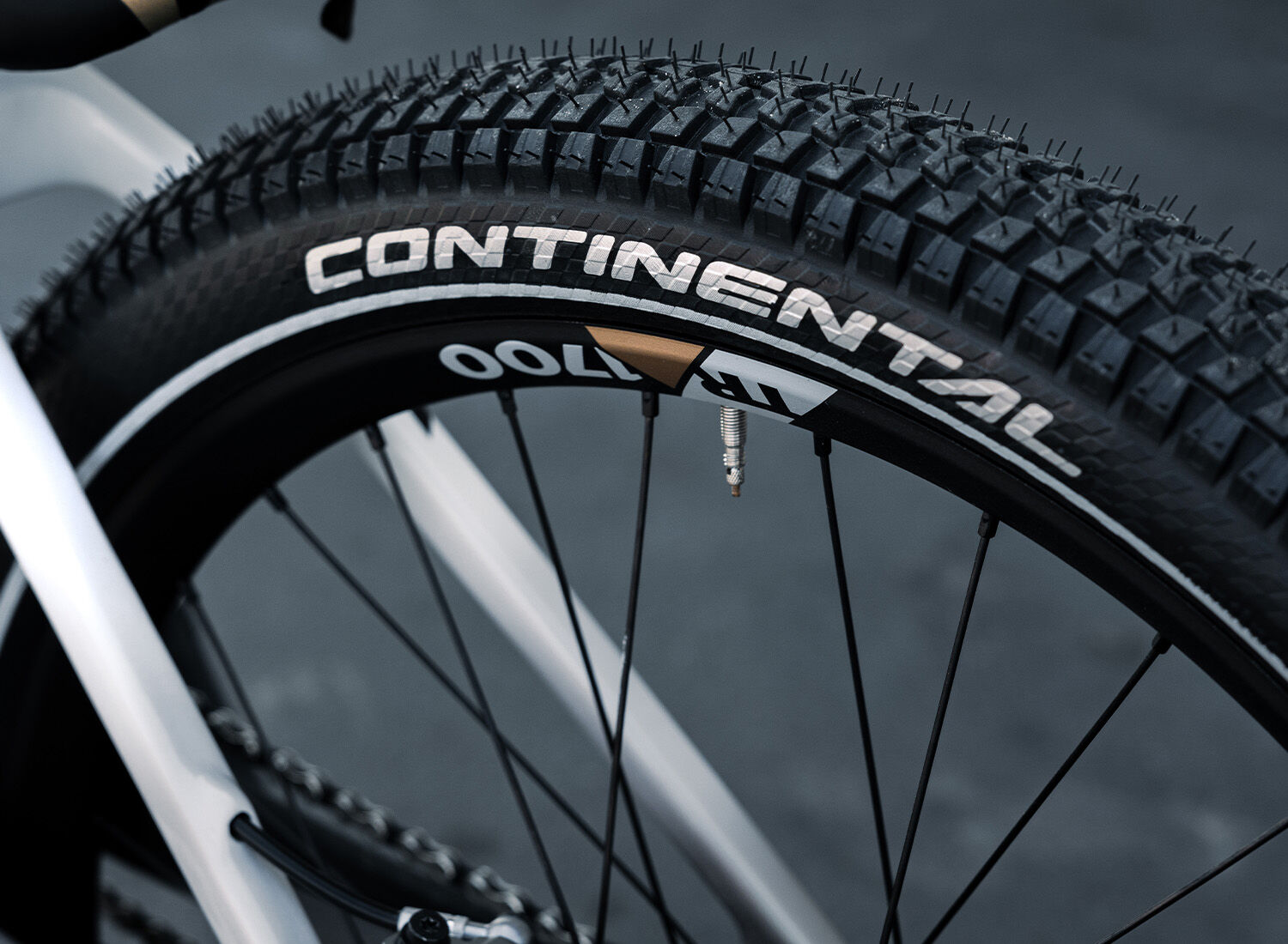 Canyon hotsell trials bike