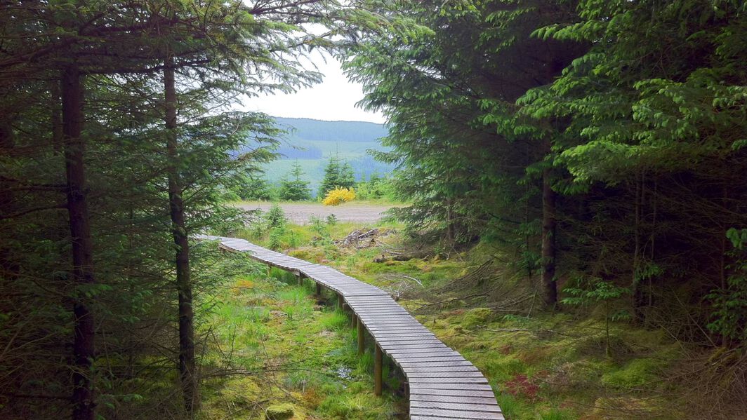 Guide to 7Stanes trail centres in Scotland