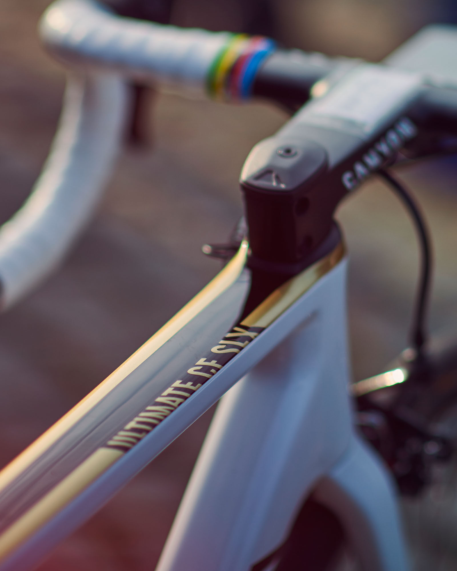 world champion bicycle