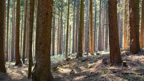 Die 5 schönsten Mountainbike-Touren in NRW   