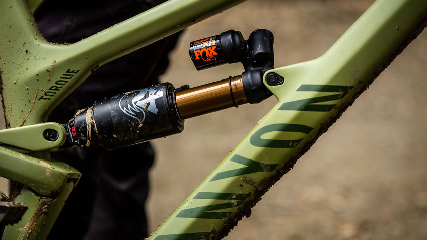 Canyon Torque Mullet