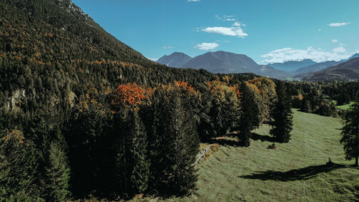 Die 9 besten Bikeparks in Österreich 