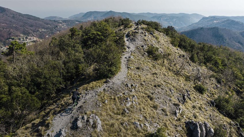 À propos de Canyon À propos de Canyon