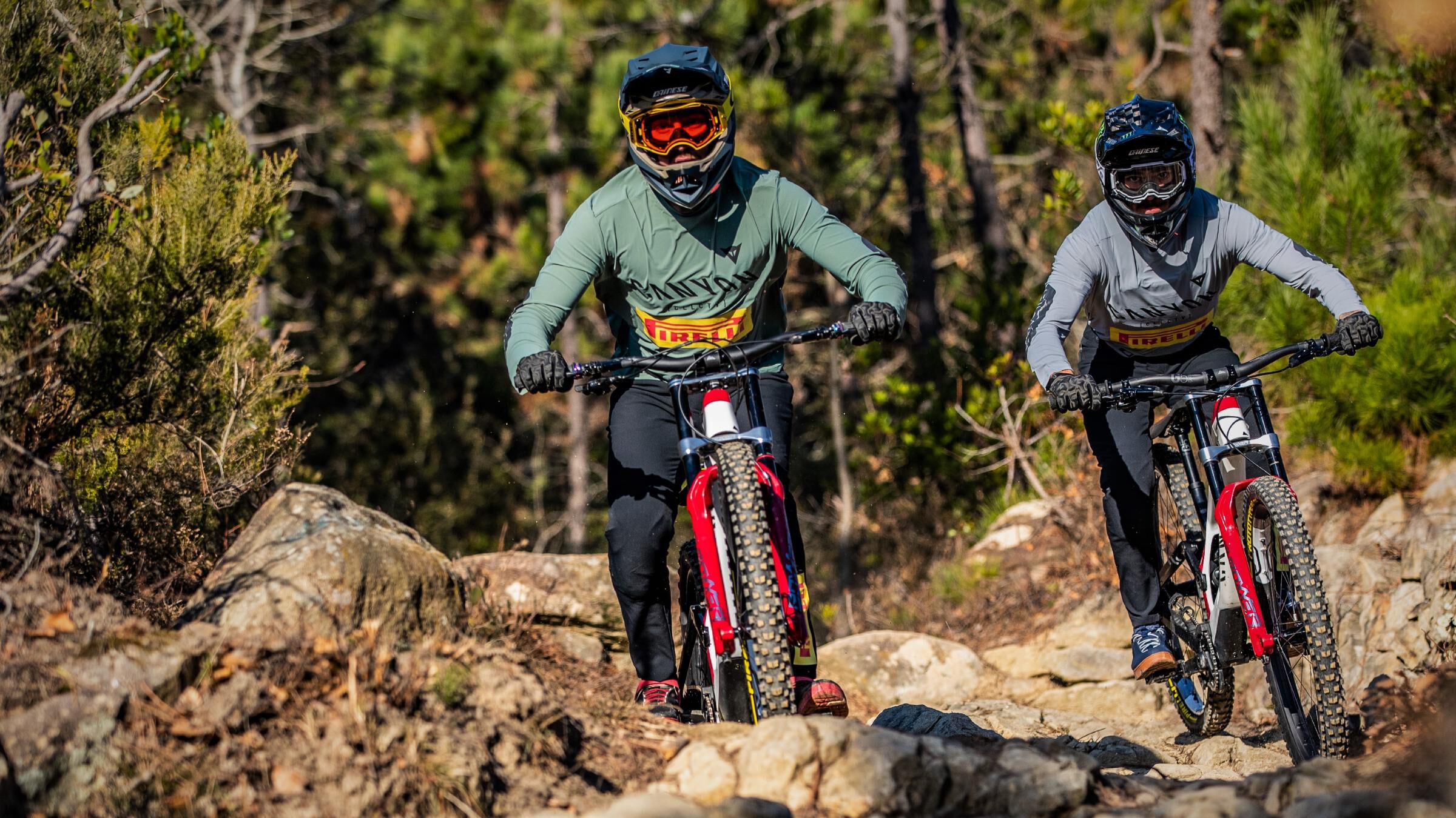 Canyon factory racing team sales