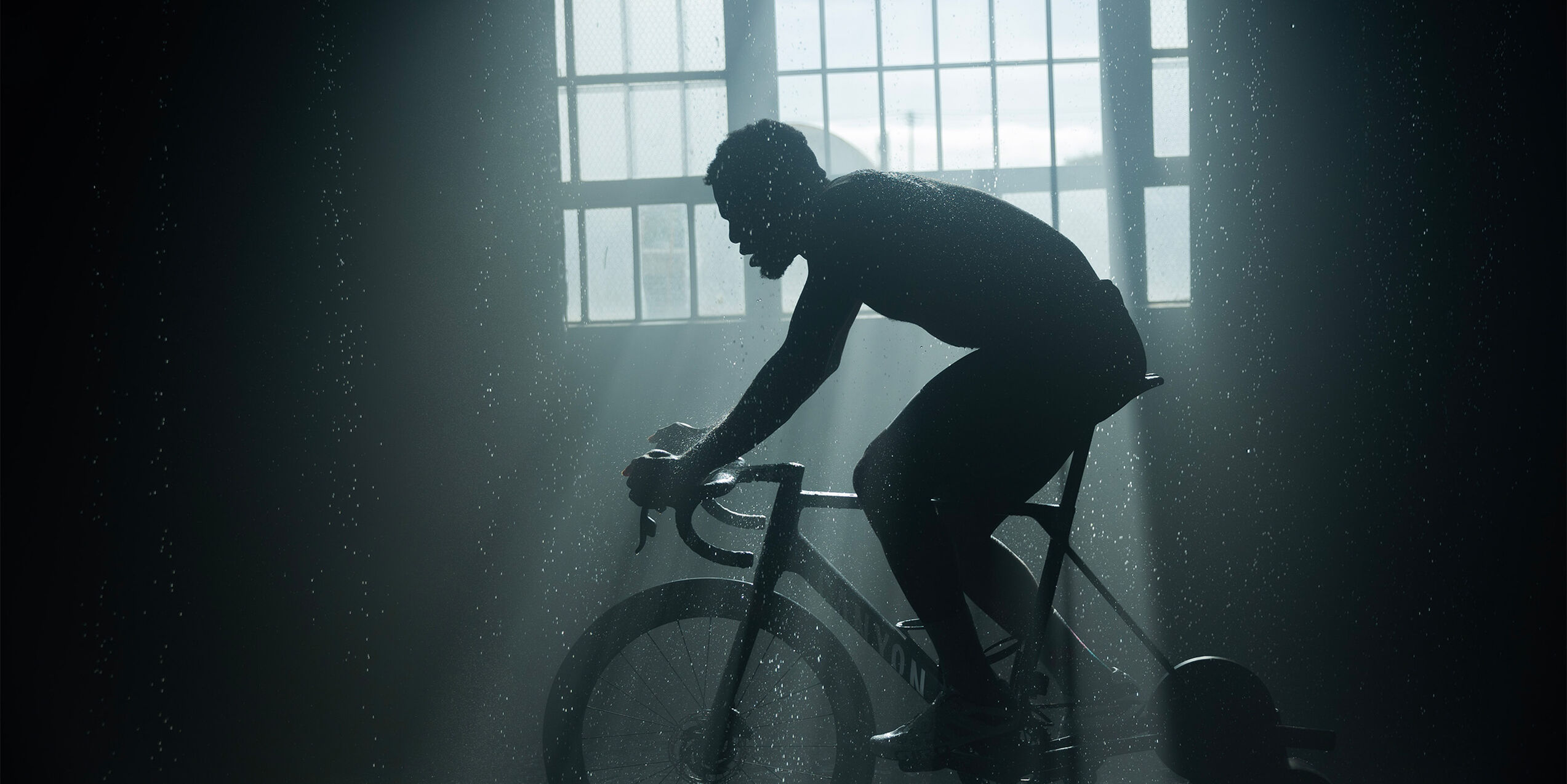 THIS RIDER: Dante Young 